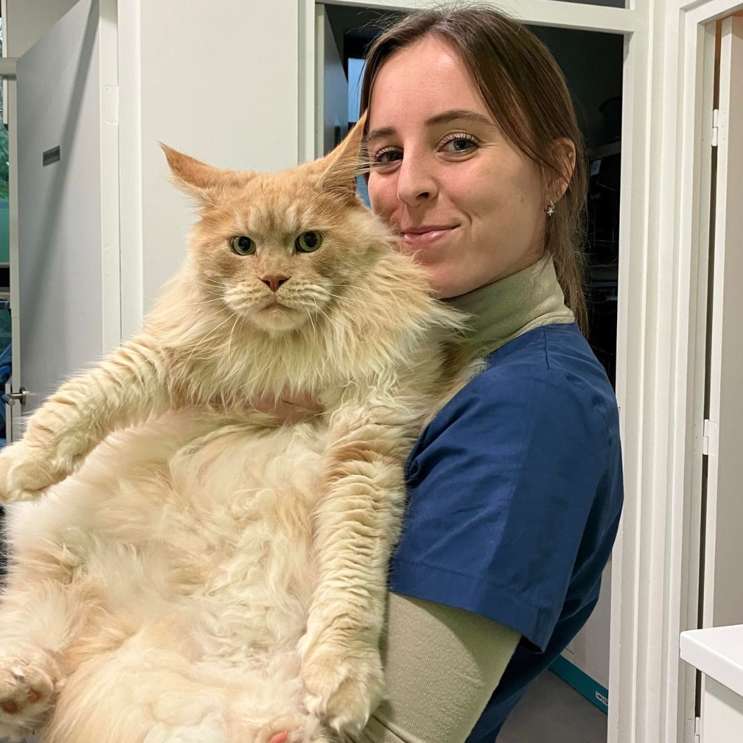 Shauni Haesen - Dierenarts